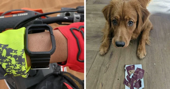 Плохой день? Эти ребята точно переплюнули вас