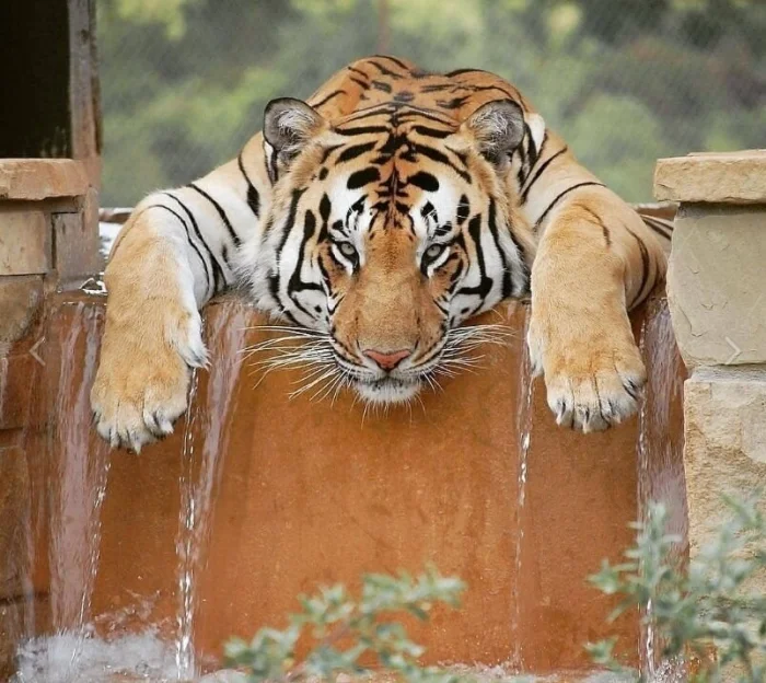 Фото буднего дня