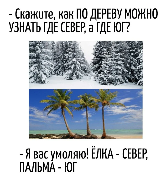 Игра слов #106