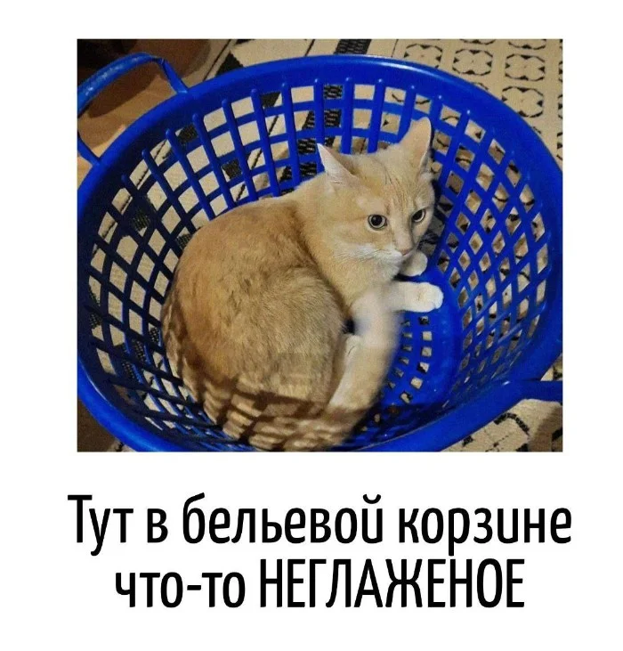 Игра слов – каламбуры, словесный юмор и прикольные картинки #109