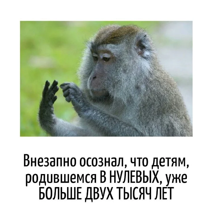 Игра слов – каламбуры, словесный юмор и прикольные картинки #109