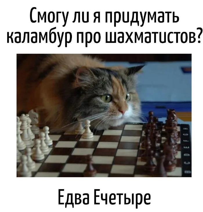 Игра слов – каламбуры, словесный юмор и прикольные картинки #110