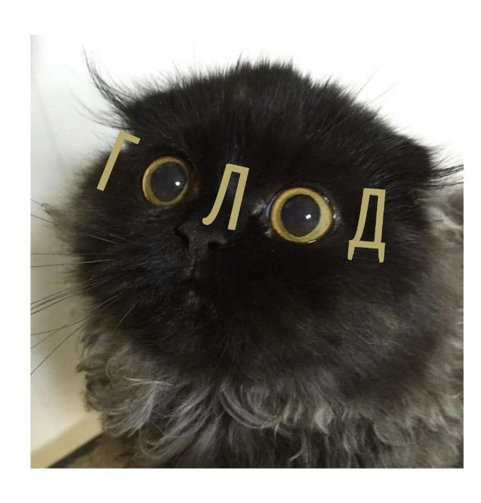 Игра слов #70