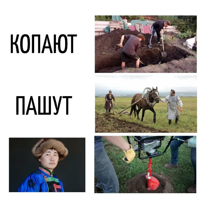 Игра слов #72