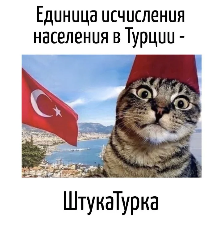 Игра слов #72