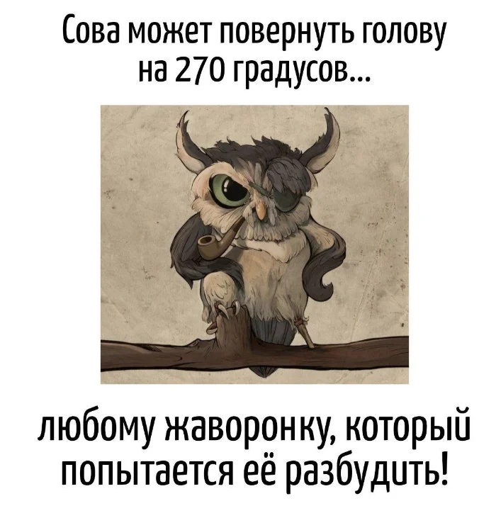 Игра слов #80