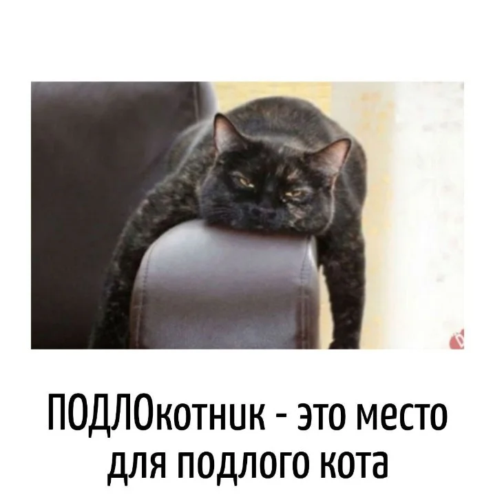 Игра слов #96