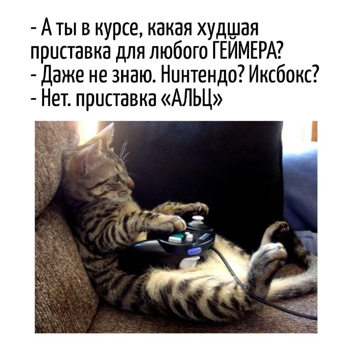 Игра слов #98
