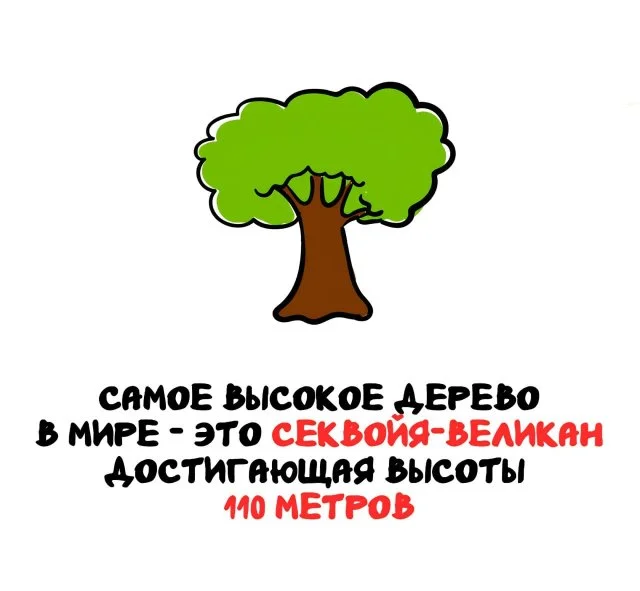 Факты, которые пригодятся и удивят