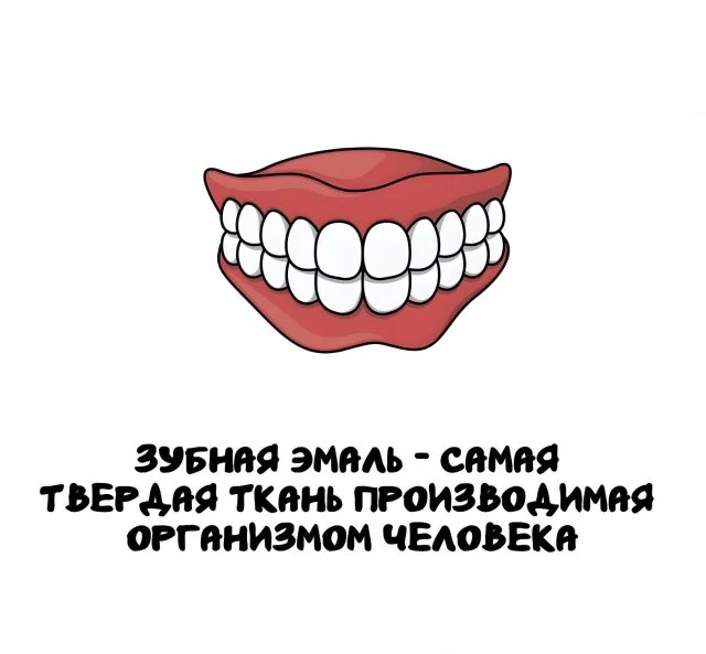 Факты, которые пригодятся и удивят