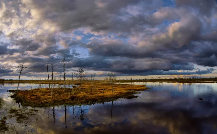 Васюганские болота: 10 удивительных фактов о месте, полном комаров и мошек