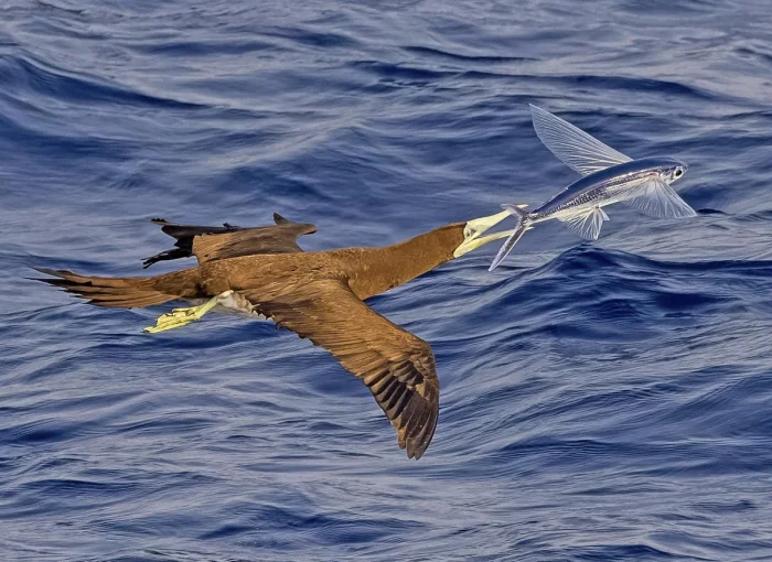 Новая подборка на общую тему