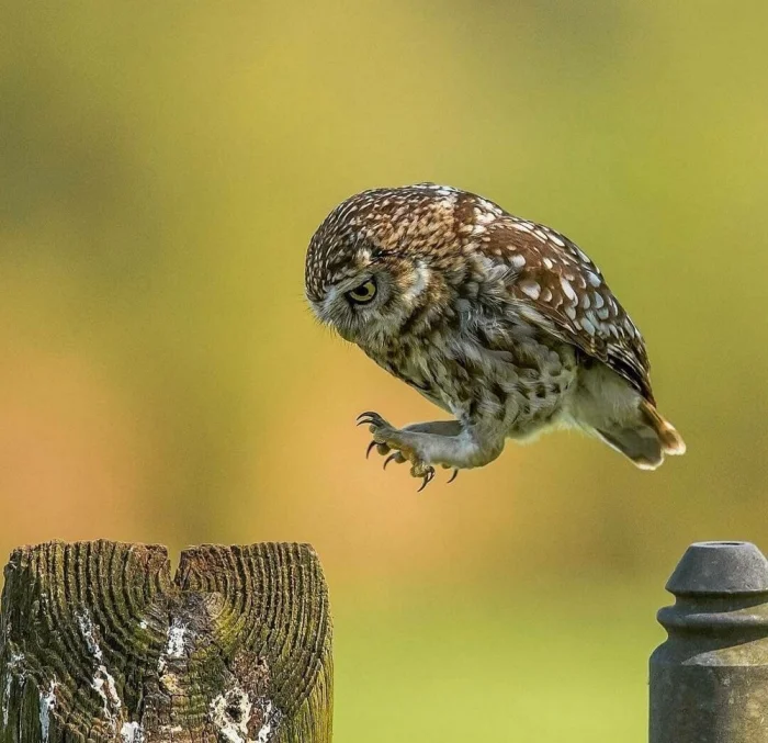 Картинки на общую тему