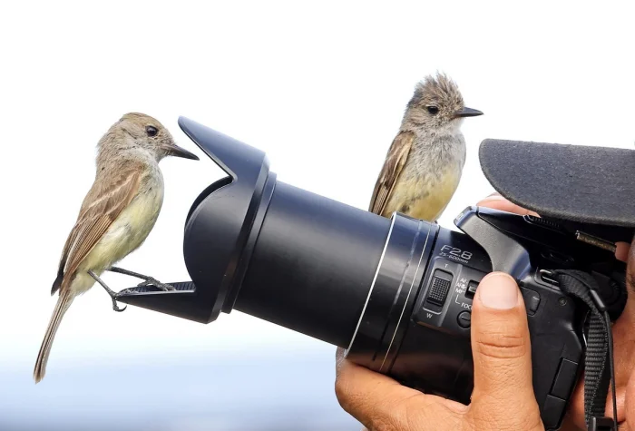 Подборка на общую тему