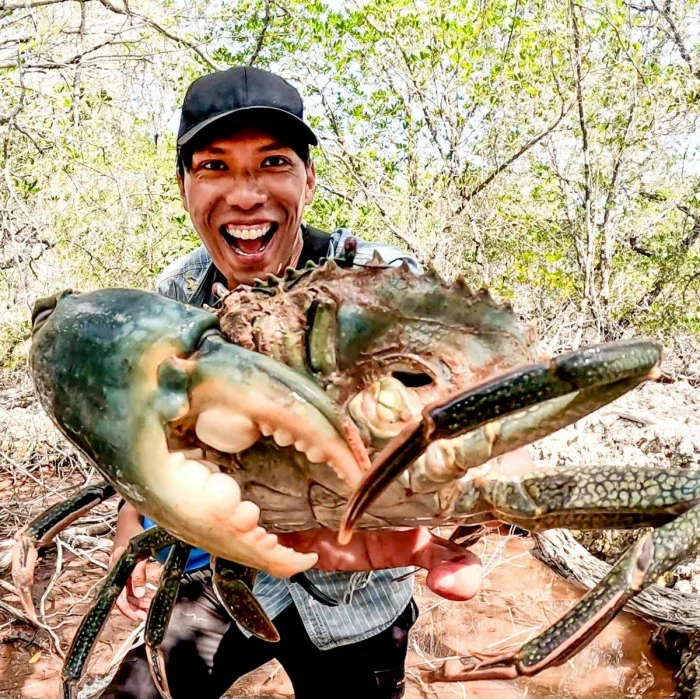 Подборка на общую тему