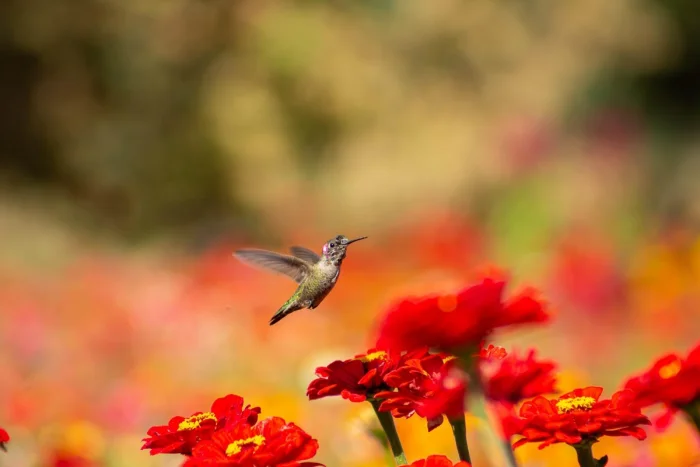 Подборка картинок на общую тему