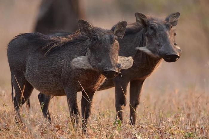 Подборка картинок на общую тему