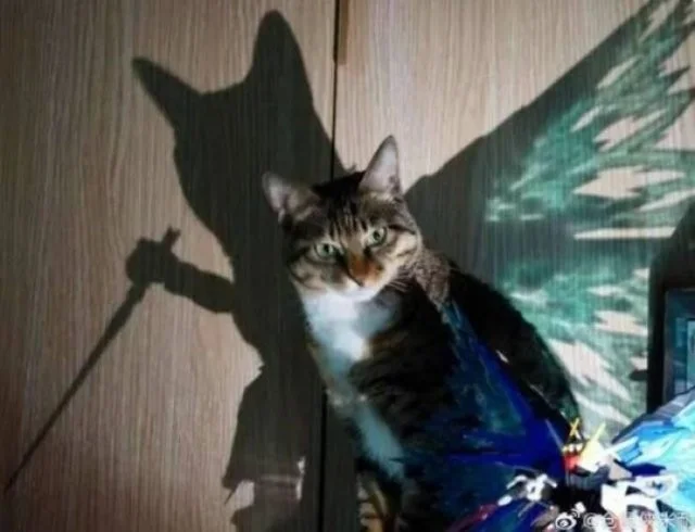 Намешалось: Красивые и интересные картинки