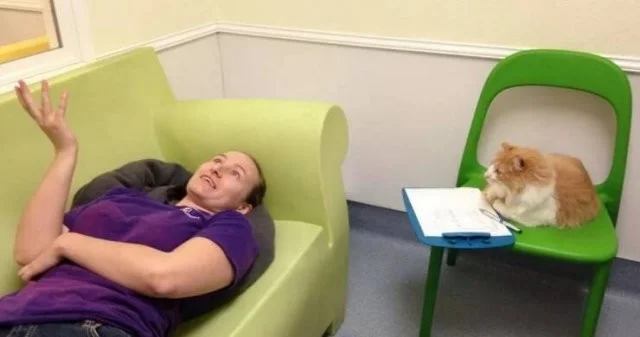 Намешалось: Красивые и интересные картинки