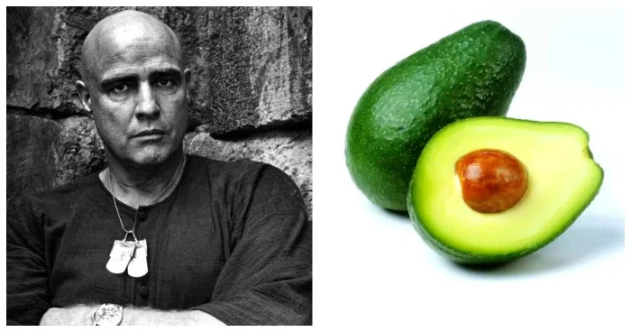 От логики до чудес: 10 поразительных фактов из мира знаний