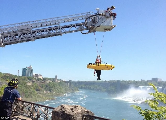 От логики до чудес: 10 поразительных фактов из мира знаний