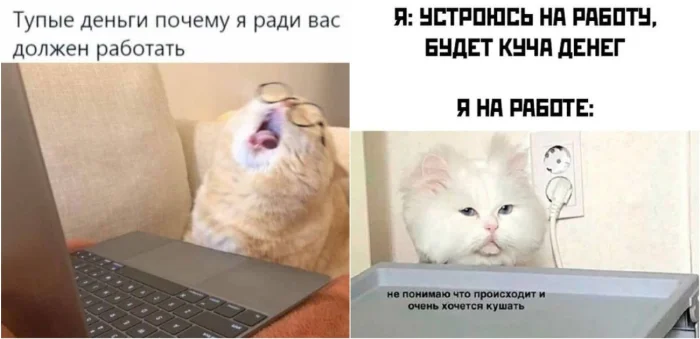 Зумер объяснил, почему не пришёл на работу — и это лучше любого оправдания