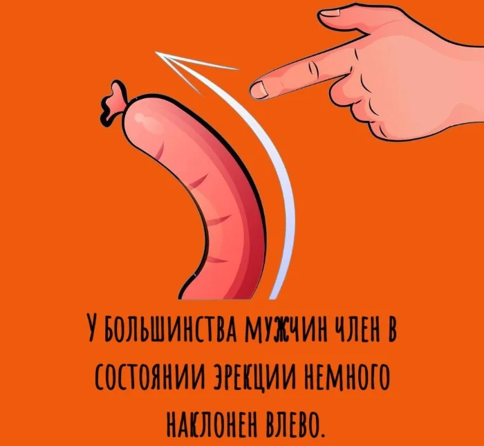 Сексуальная правда: 15 фактов, которым не научат в школе #46