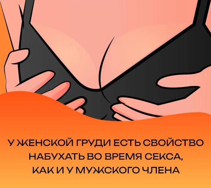 Сексуальная правда: 15 фактов, которым не научат в школе #53