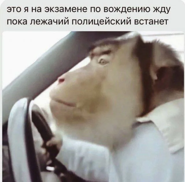 Смешные скрины из соцсетей #15