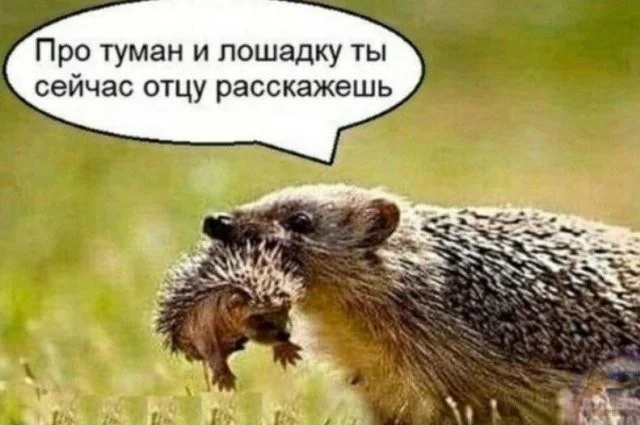 Смешные скрины из соцсетей #16