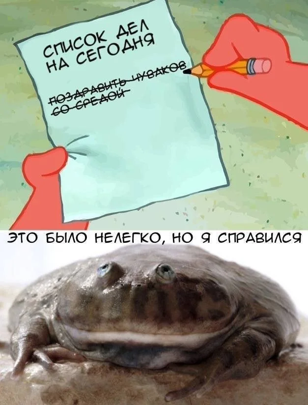 Смешные скрины из соцсетей #16