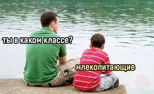 Смешные скрины из соцсетей #25