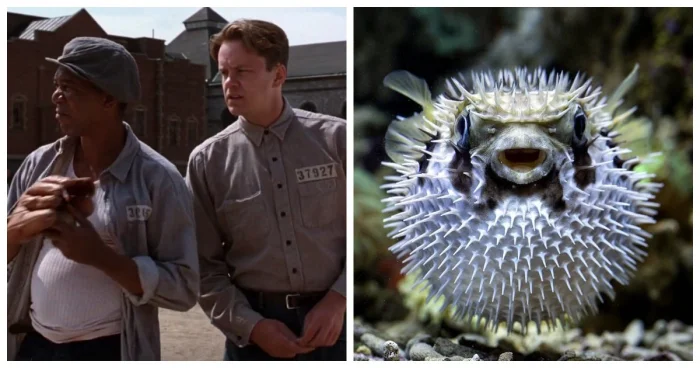 Мир не такой, каким кажется: 10 удивительных открытий