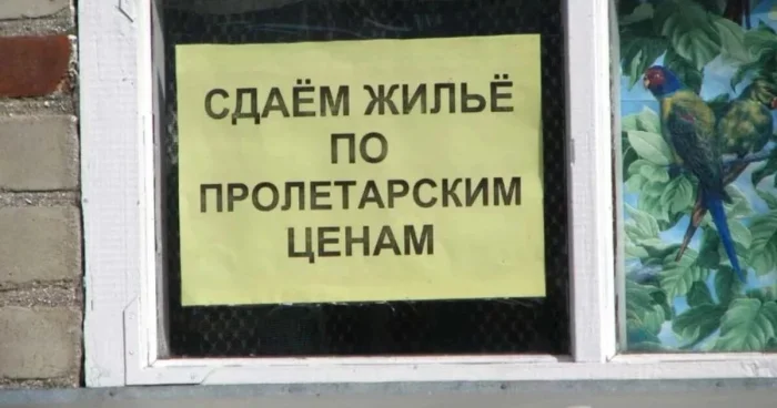 В России захотели обязать владельцев жилья получать письменное разрешение от соседей на сдачу квартиры