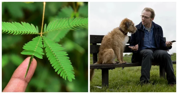10 удивительных фактов, в которые трудно поверить