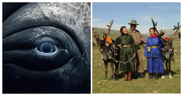 12 фото, в которые трудно поверить, но они абсолютно реальны