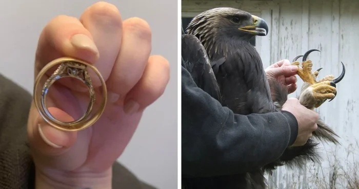 15 вещей, чьи размеры удивляют при сравнении