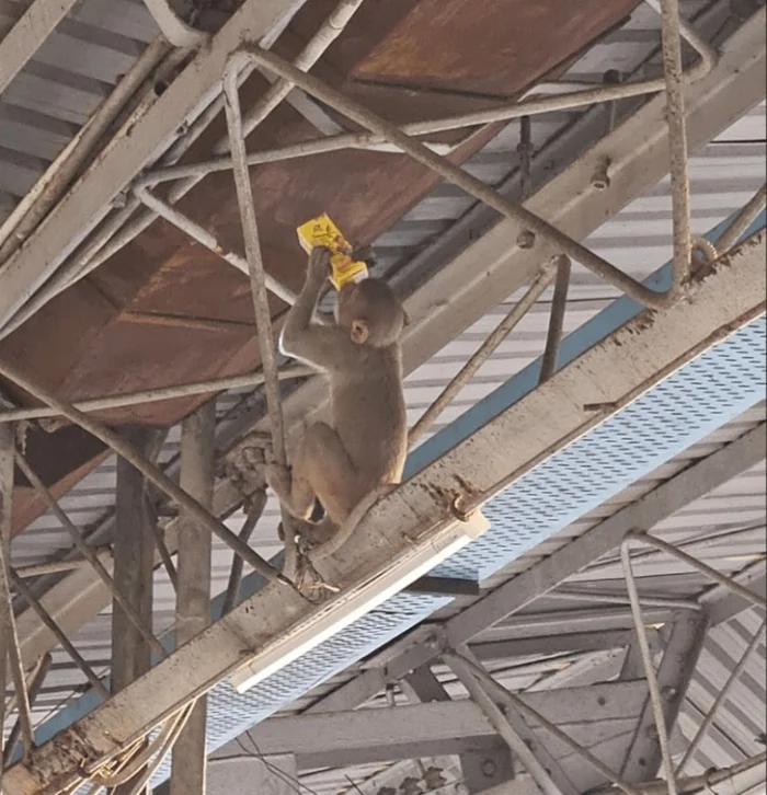 Эти 16 героев дня явно не рассчитывали на такой поворот событий