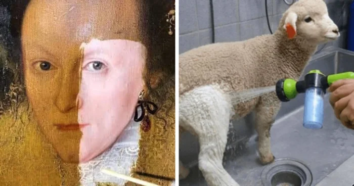 17 поразительных «до и после» от мастеров чистоты