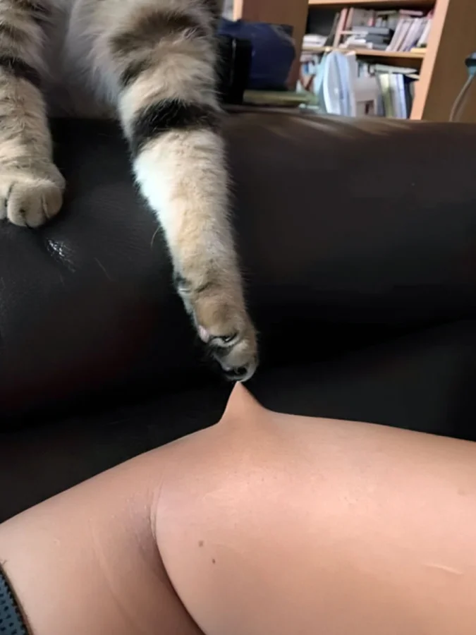 Снимки, пробирающие до костей: 17 историй в одном кадре