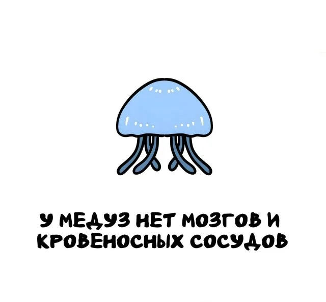 Захватывающие факты на любой вкус