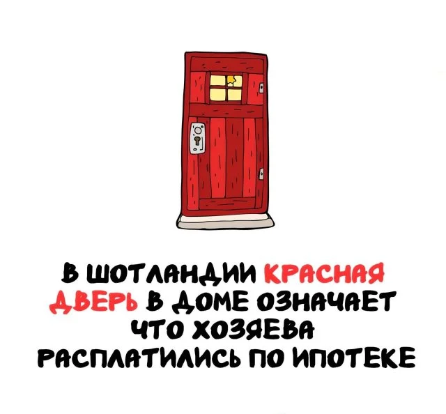 Необычные факты, которые откроют вам новый мир