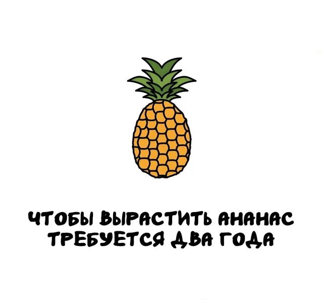 Необычные факты, которые откроют вам новый мир