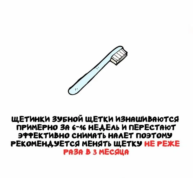 Любопытные сведения на все случаи жизни