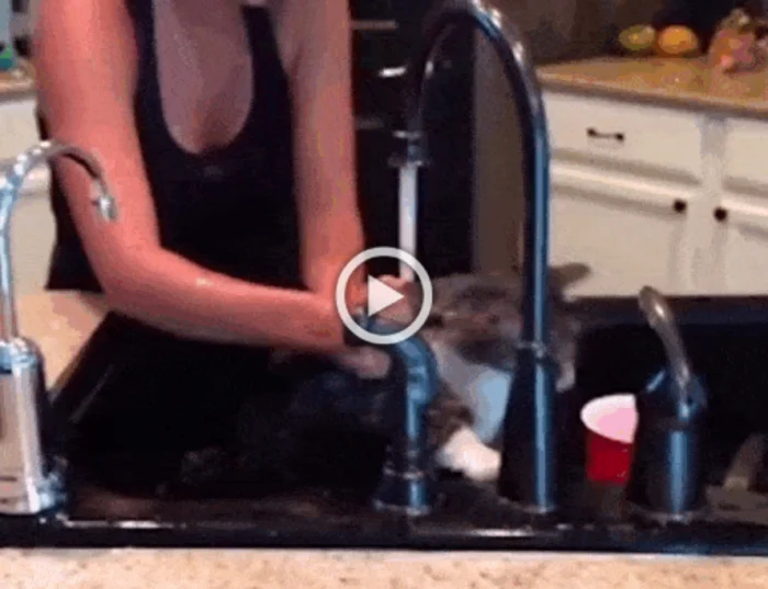 Разнообразные ГИФки #77