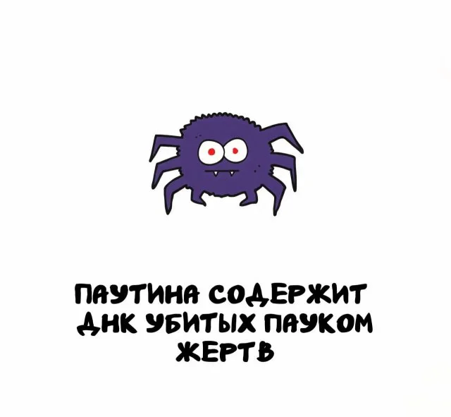 Подборка любопытных фактов, которые стоит знать каждому