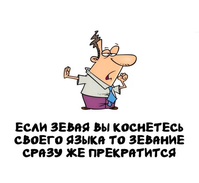 Факты, которыми можно удивить в любой беседе