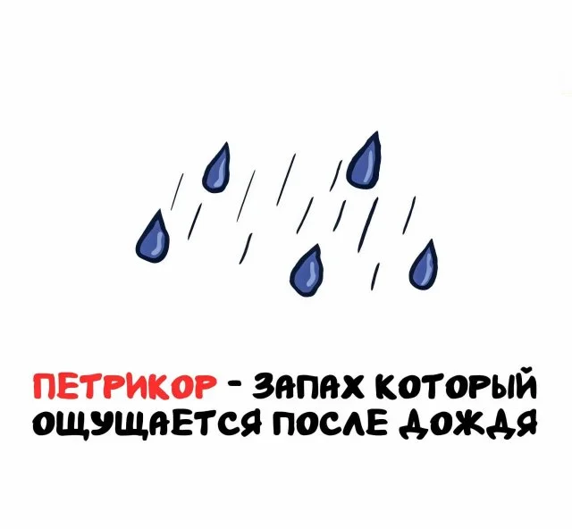 Факты, которыми можно удивить в любой беседе