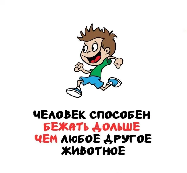 Любопытные факты, которыми можно блеснуть в любой компании