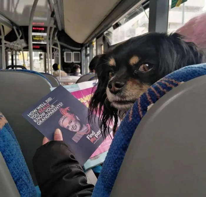 Эти 18 фото доказывают: в нашем мире точно что-то пошло не так